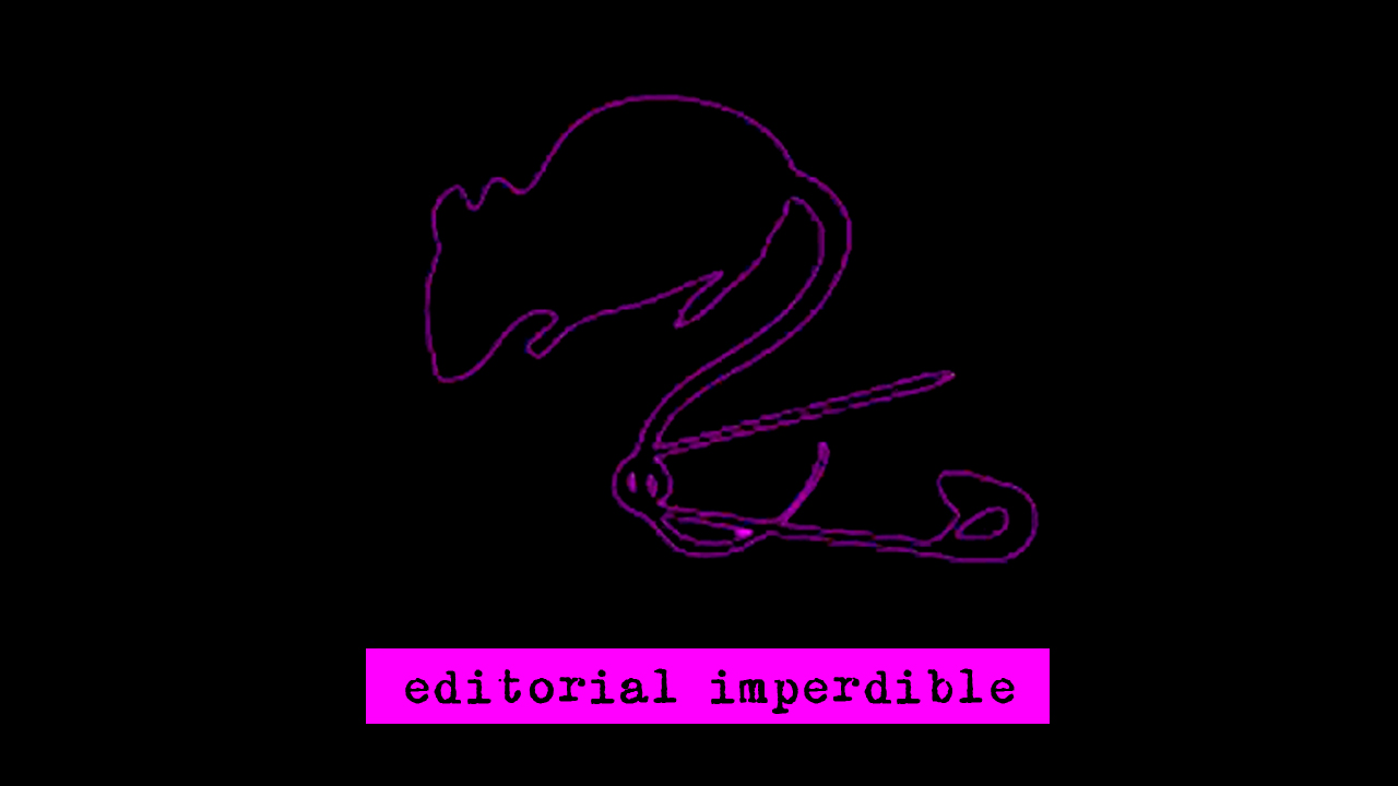 Video «Editorial Imperdible 2015 – 2020. 5 años».