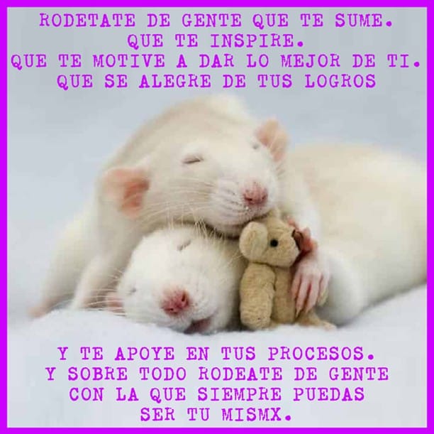 Rodéate de gente que te sume.